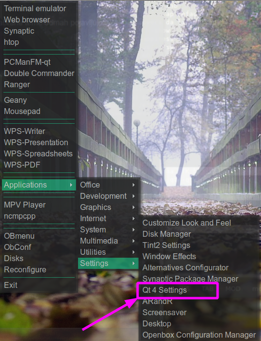 QT 4 Settings